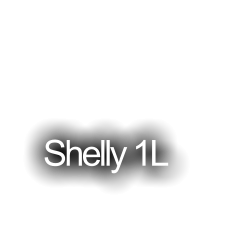 Shelly 1L