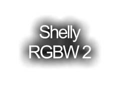 Shelly  RGBW 2