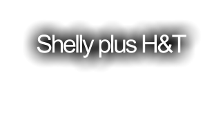 Shelly plus H&T