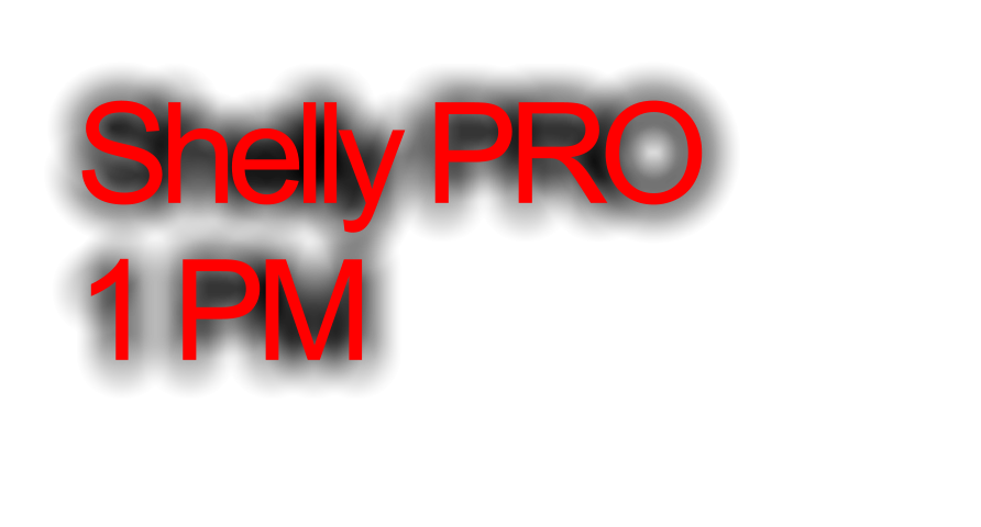 Shelly PRO 1 PM