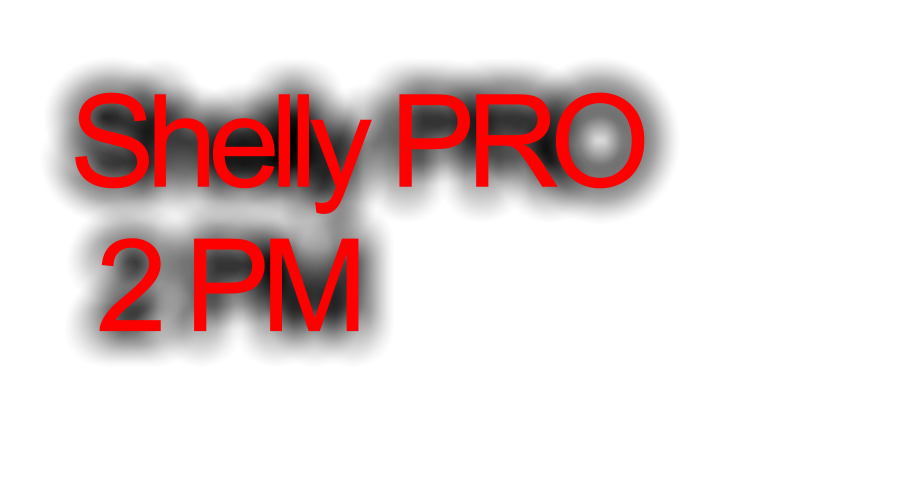 Shelly PRO   2 PM