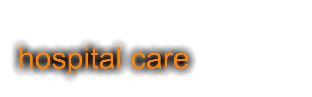 hospital care